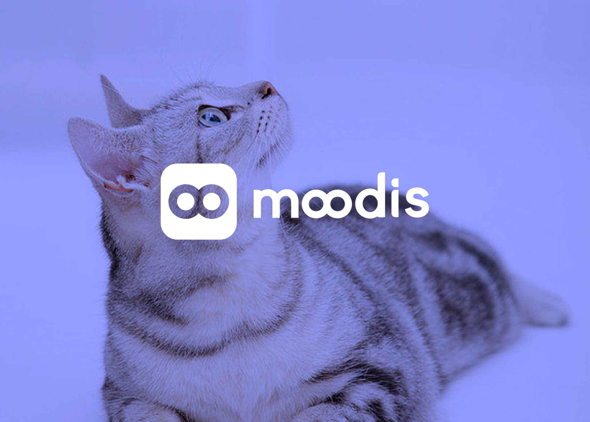 MOODIS宠物交友App-UX设计